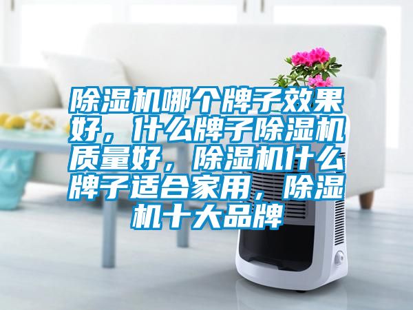 除濕機(jī)哪個(gè)牌子效果好，什么牌子除濕機(jī)質(zhì)量好，除濕機(jī)什么牌子適合家用，除濕機(jī)十大品牌
