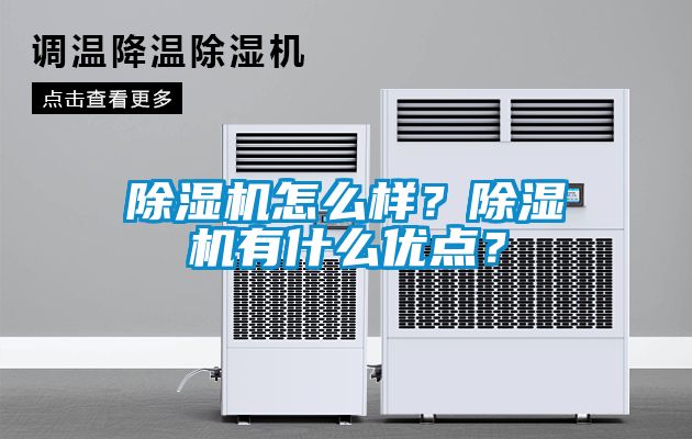 除濕機怎么樣？除濕機有什么優(yōu)點？