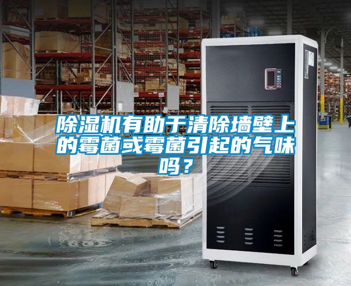 除濕機有助于清除墻壁上的霉菌或霉菌引起的氣味嗎？