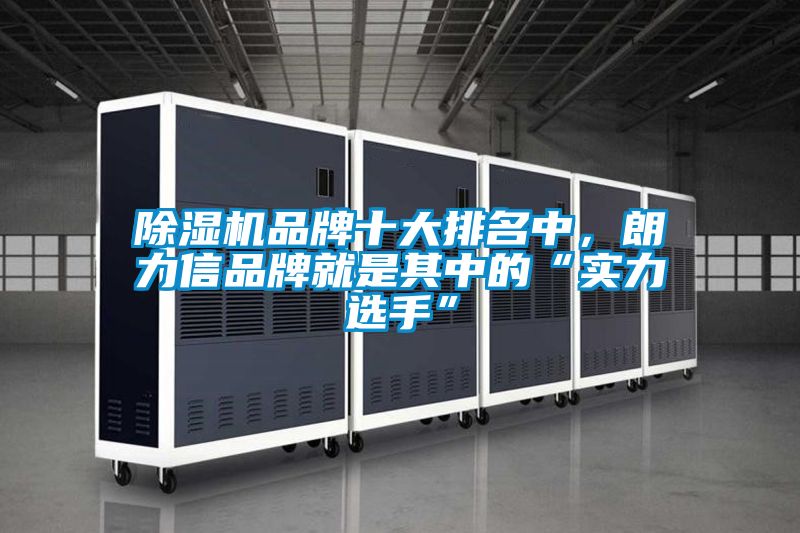 除濕機(jī)品牌十大排名中，朗力信品牌就是其中的“實(shí)力選手”