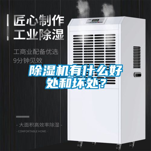 除濕機(jī)有什么好處和壞處？