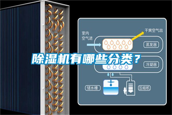 除濕機有哪些分類？