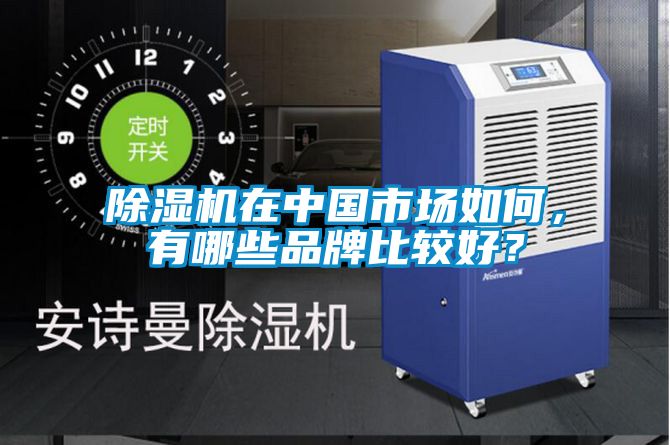 除濕機在中國市場如何，有哪些品牌比較好？