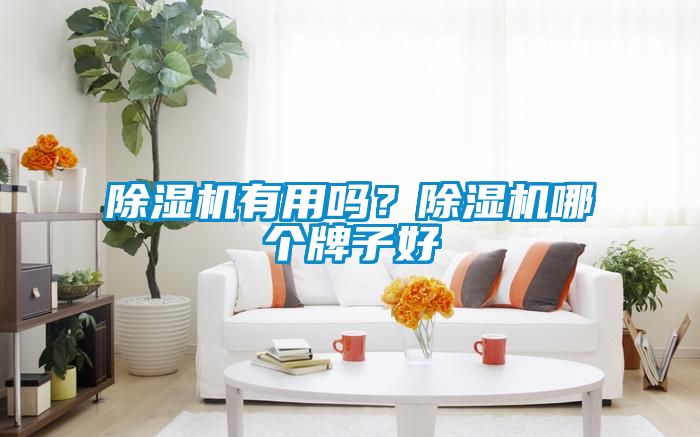 除濕機有用嗎？除濕機哪個牌子好