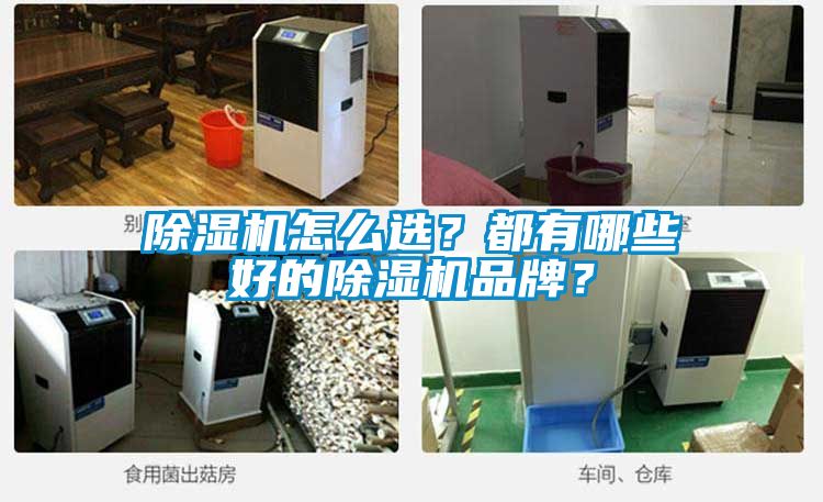 除濕機(jī)怎么選？都有哪些好的除濕機(jī)品牌？
