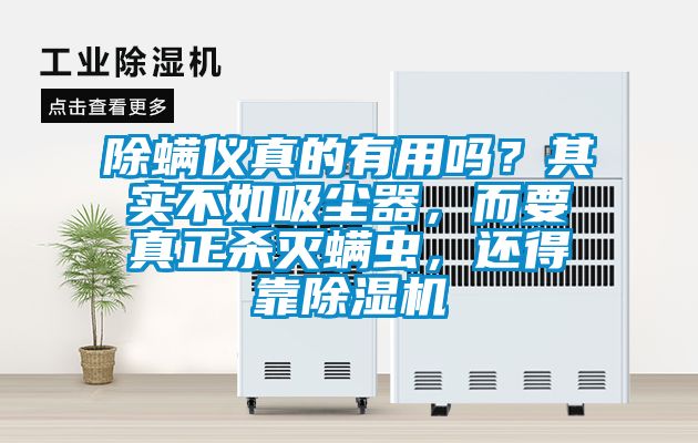 除螨儀真的有用嗎？其實不如吸塵器，而要真正殺滅螨蟲，還得靠除濕機