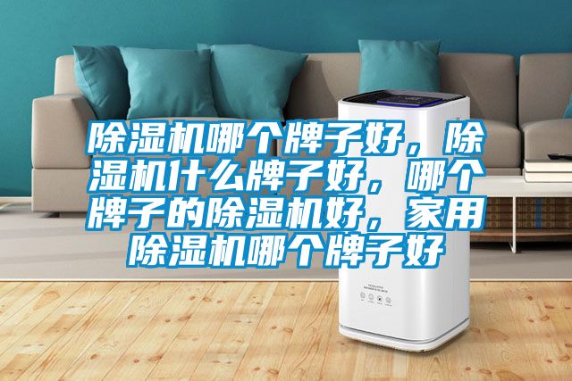 除濕機哪個牌子好，除濕機什么牌子好，哪個牌子的除濕機好，家用除濕機哪個牌子好