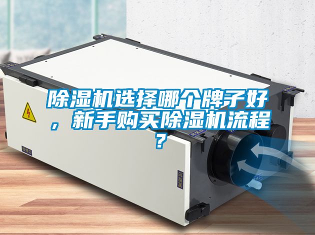 除濕機(jī)選擇哪個(gè)牌子好，新手購(gòu)買(mǎi)除濕機(jī)流程？
