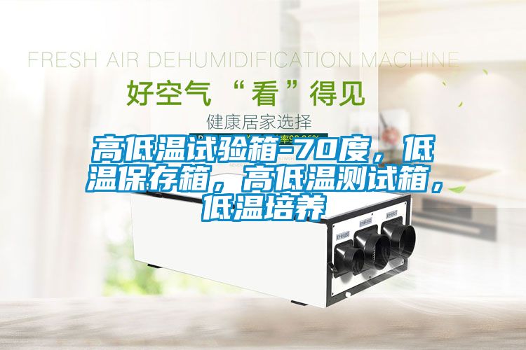 高低溫試驗箱-70度，低溫保存箱，高低溫測試箱，低溫培養(yǎng)