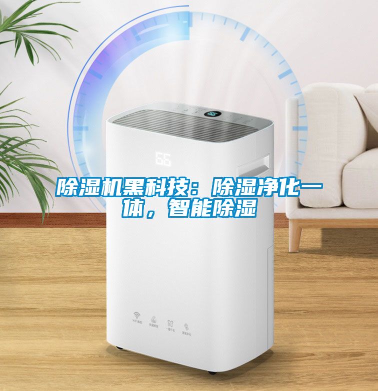 除濕機(jī)黑科技：除濕凈化一體，智能除濕