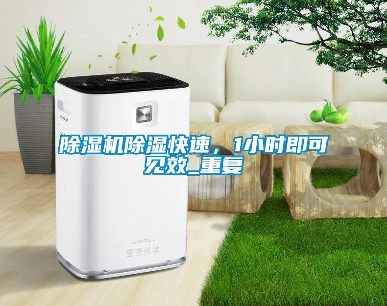 除濕機除濕快速，1小時即可見效_重復