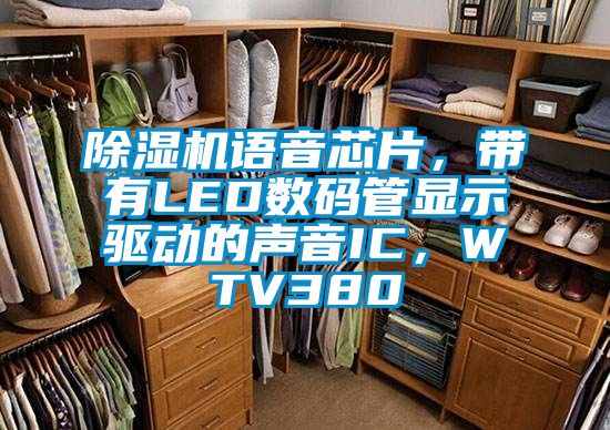 除濕機語音芯片，帶有LED數(shù)碼管顯示驅(qū)動的聲音IC，WTV380