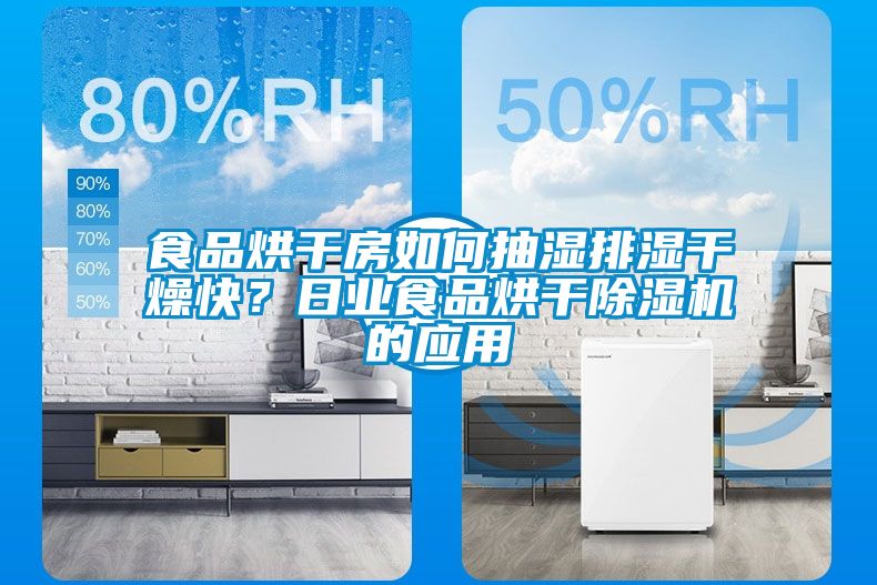 食品烘干房如何抽濕排濕干燥快？日業(yè)食品烘干除濕機的應用