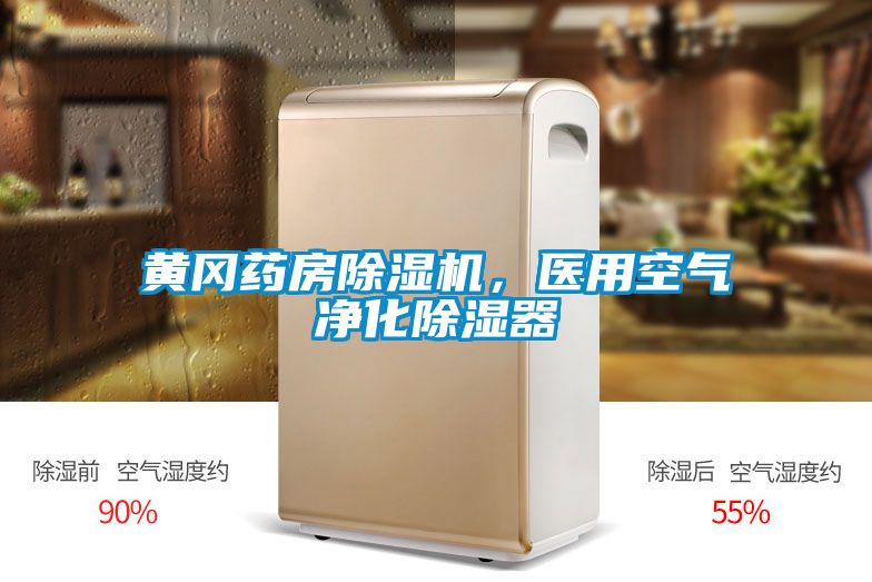 黃岡藥房除濕機，醫(yī)用空氣凈化除濕器