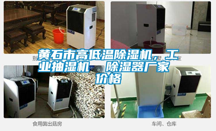 黃石市高低溫除濕機(jī)，工業(yè)抽濕機(jī)  除濕器廠家 價(jià)格