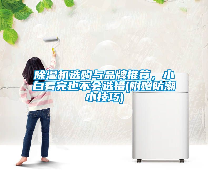 除濕機選購與品牌推薦，小白看完也不會選錯(附贈防潮小技巧)