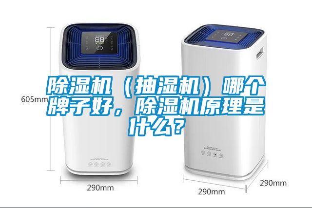 除濕機（抽濕機）哪個牌子好，除濕機原理是什么？