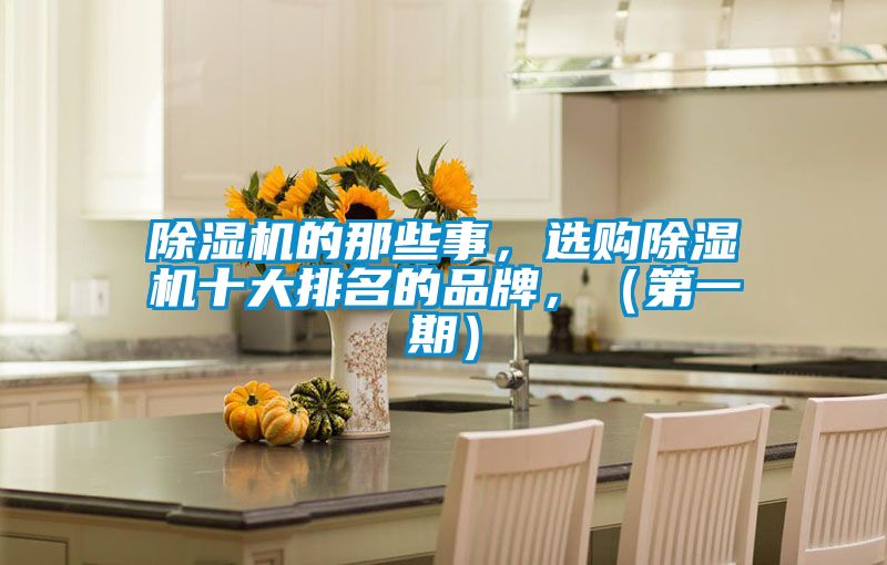 除濕機(jī)的那些事，選購(gòu)除濕機(jī)十大排名的品牌，（第一期）