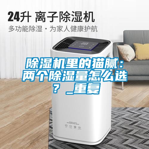 除濕機(jī)里的貓膩：兩個(gè)除濕量怎么選？_重復(fù)