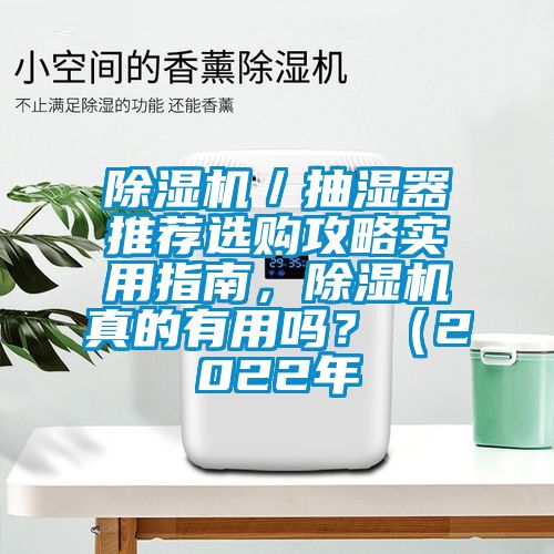 除濕機(jī)／抽濕器推薦選購攻略實(shí)用指南，除濕機(jī)真的有用嗎？（2022年