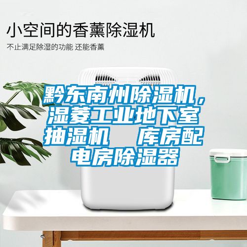 黔東南州除濕機，濕菱工業(yè)地下室抽濕機  庫房配電房除濕器