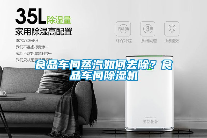 食品車間蒸汽如何去除？食品車間除濕機