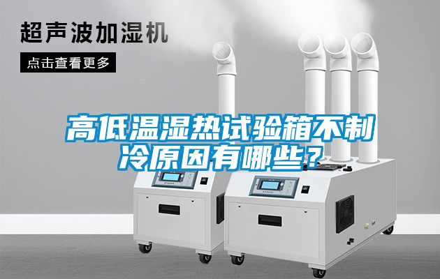 高低溫濕熱試驗箱不制冷原因有哪些？
