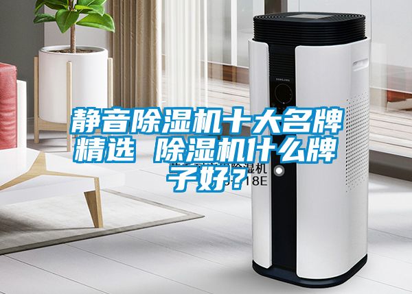 靜音除濕機十大名牌精選 除濕機什么牌子好？