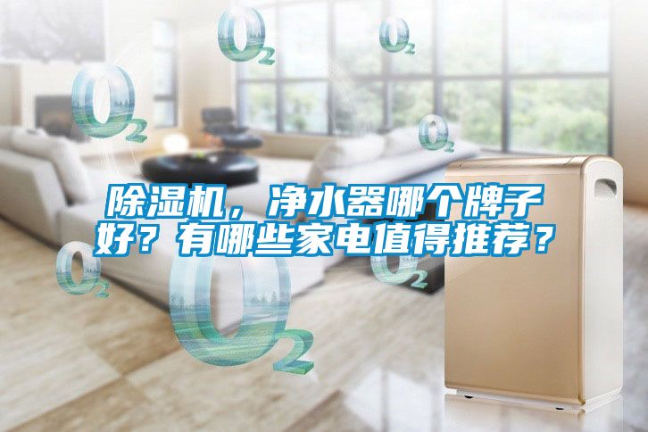 除濕機(jī)，凈水器哪個(gè)牌子好？有哪些家電值得推薦？