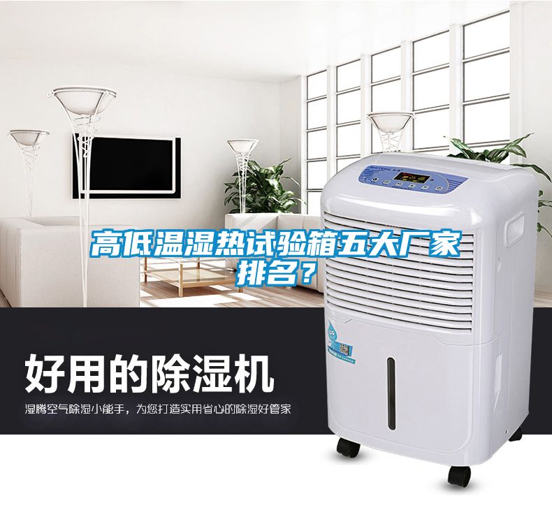 高低溫濕熱試驗箱五大廠家排名？