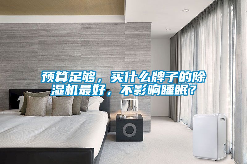預(yù)算足夠，買什么牌子的除濕機(jī)最好，不影響睡眠？