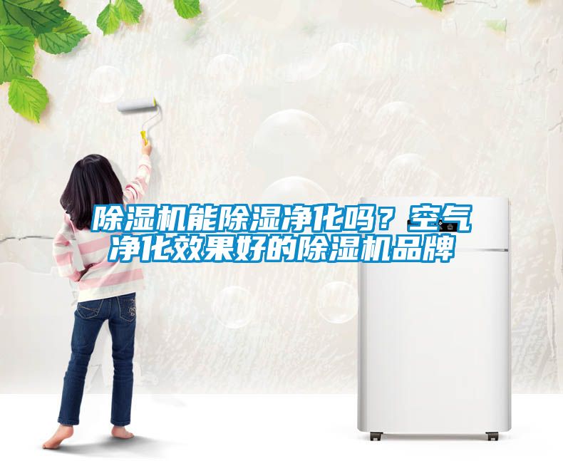 除濕機(jī)能除濕凈化嗎？空氣凈化效果好的除濕機(jī)品牌