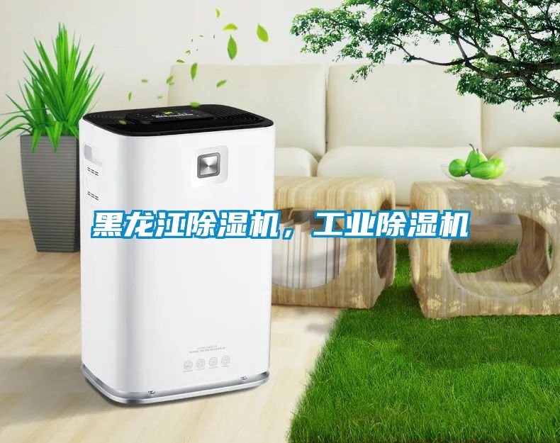 黑龍江除濕機(jī)，工業(yè)除濕機(jī)