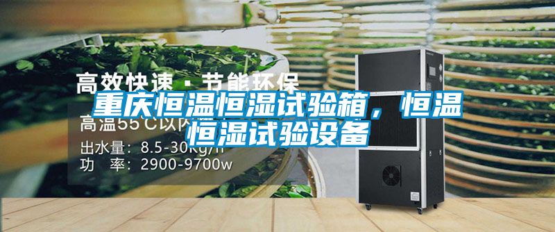 重慶恒溫恒濕試驗箱，恒溫恒濕試驗設(shè)備