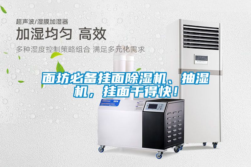面坊必備掛面除濕機、抽濕機，掛面干得快！