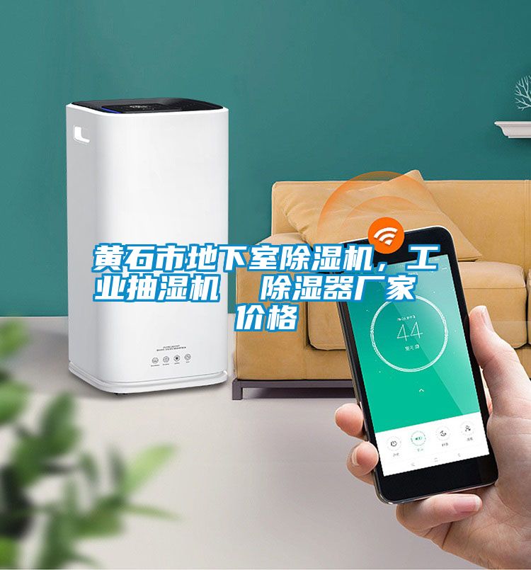 黃石市地下室除濕機，工業(yè)抽濕機  除濕器廠家 價格