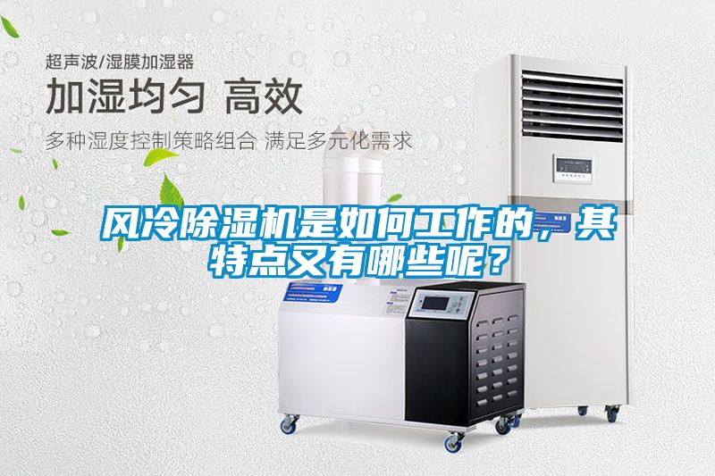 風冷除濕機是如何工作的，其特點又有哪些呢？