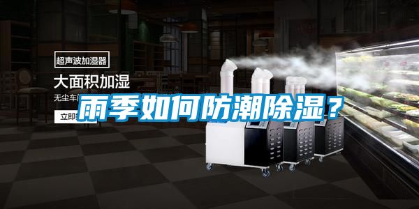 雨季如何防潮除濕？