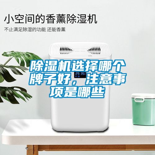 除濕機(jī)選擇哪個(gè)牌子好，注意事項(xiàng)是哪些