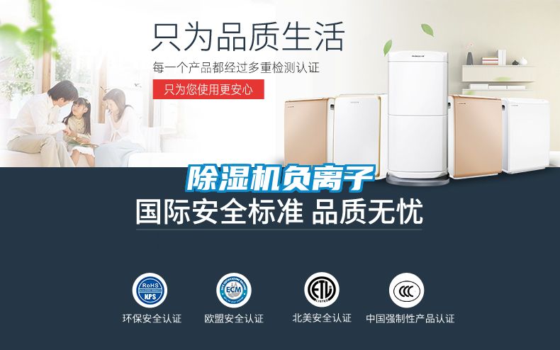 除濕機負(fù)離子