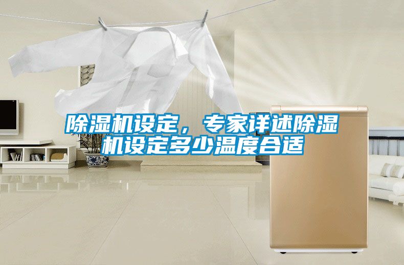 除濕機(jī)設(shè)定，專(zhuān)家詳述除濕機(jī)設(shè)定多少溫度合適