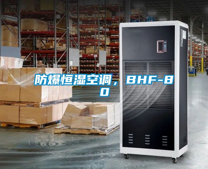 防爆恒濕空調(diào)，BHF-80