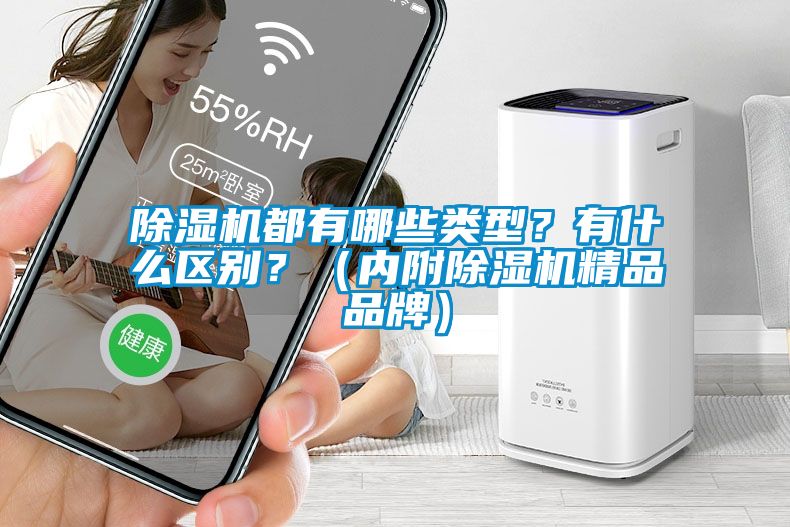 除濕機都有哪些類型？有什么區(qū)別？（內附除濕機精品品牌）