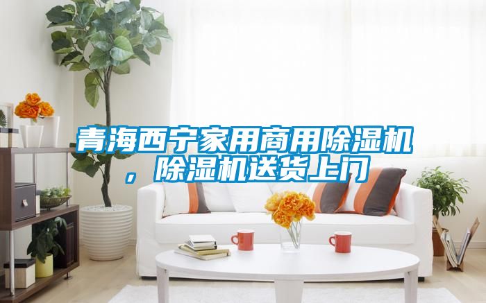 青海西寧家用商用除濕機，除濕機送貨上門