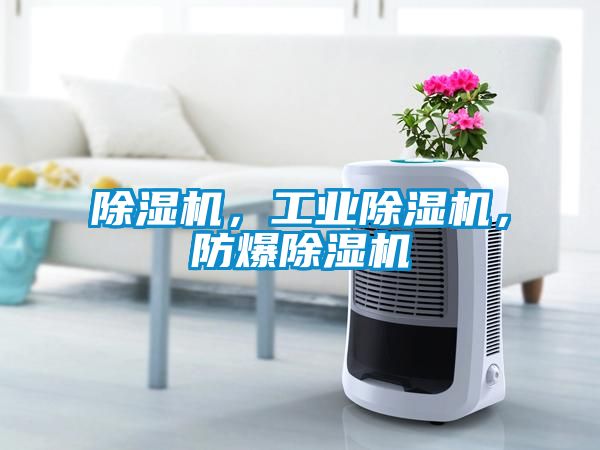 除濕機(jī)，工業(yè)除濕機(jī)，防爆除濕機(jī)