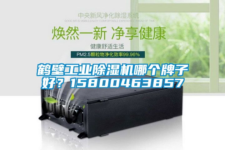 鶴壁工業(yè)除濕機(jī)哪個(gè)牌子好？15800463857