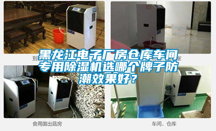 黑龍江電子廠房倉(cāng)庫(kù)車間專用除濕機(jī)選哪個(gè)牌子防潮效果好？