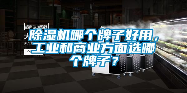 除濕機哪個牌子好用，工業(yè)和商業(yè)方面選哪個牌子？