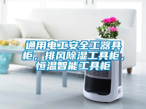 通用電工安全工器具柜，排風(fēng)除濕工具柜，恒溫智能工具柜
