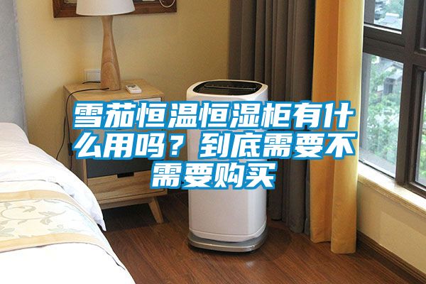 雪茄恒溫恒濕柜有什么用嗎？到底需要不需要購買